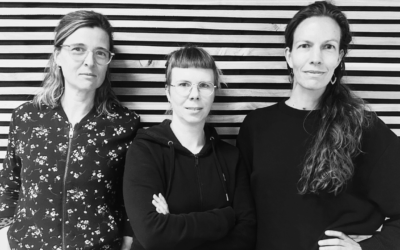 Einführung in die feministische Ökonomie