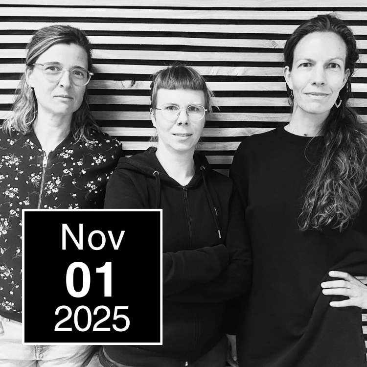 Einführung in die feministische Ökonomie